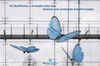 Banner BetaWorks Soluções Integradas | Oficial Partner FESTO | Soluções em Automação Industrial 