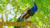Imagem do banner rotativo 2