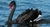 Imagem do banner rotativo 5