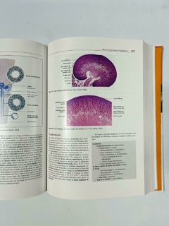 Anatomia dos Animais Domésticos - Texto e Atlas Colorido na internet