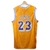 Regata de basquete Lakers Bape 23 na internet
