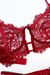 Conjunto Luisa em Renda Vermelho - loja online