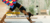 Banner de Só Tatames