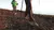 Baston de Trekking Waterdog ERNE - todotermicosn