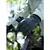 GUANTES AONIJIE SOFTSHELL - comprar online