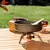 Calentador Plegable con Base Amplia y Manguera Naturehike - todotermicosn