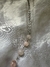 COLLAR BRISEIDA