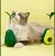 JUGUETE PARA GATOS INTERACTIVO CON CATNIP Y PORTA ALIMENTO