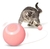 PELOTA INTERACTIVA GATOS USB CON MOVIMIENTO - Royal Pets