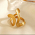 Anillo Raíz en internet