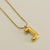 Imagen de Cadena Inicial