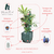 Torre Vertical con riego automático - plantafacil
