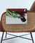 Sillón individual JAMES - tienda online