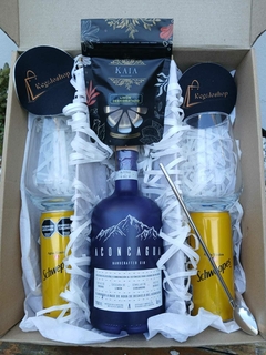 BOX EXPERIENCIA ACONCAGUA