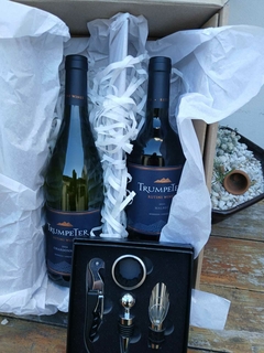 BOX DUO TRUMPETER MALBEC/CHARDONNAY - comprar online