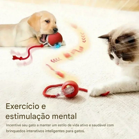 Brinquedo Inteligente Interativo para Gatos | Bola Recarregável USB com Sensor e 3 Modos - comprar online