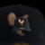 Gorra placa grabada - Gallo