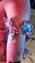 Anillos Stardust - Rave Accesorios