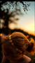 Diadema Grecia - comprar online