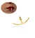 Clip de labio Anchor
