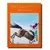 WELLINGTON: THE WORLD OF HORSES - comprar online