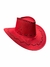 Sombrero Cowboy - comprar online