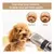 Maquina Corta Pelo Para Perro + Cepillo 3 En 1 Vapor Mascota - comprar online