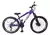Bicicleta Gios 4trix/frx Do Grau Aro 26 Freio A Disco 21v Roxo 15 "
