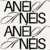 Banner de Amav