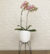 Maceta Tryas Floridis 17x18 - Floridis
