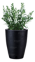 Maceta Amsterdam 29x44 - comprar online