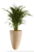 Maceta Amsterdam 35x65 - comprar online