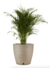 Maceta Amsterdam Grande 70 cm - comprar online