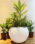 Maceta Florencia Esfera 27x24 - tienda online