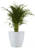 Maceta Amsterdam Grande 70 cm