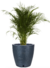 Maceta Amsterdam Grande 70 cm - comprar online