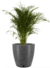 Maceta Amsterdam Grande 70 cm - Floridis