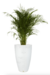 Maceta Amsterdam 35x65 - Floridis
