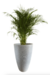 Maceta Amsterdam 35x65 - comprar online