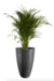 Maceta Amsterdam 35x65