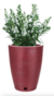 Maceta Amsterdam 29x44 - comprar online