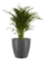 Maceta Amsterdam 40x45 - comprar online