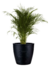 Maceta Amsterdam 40x45 - Floridis