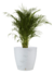 Maceta Amsterdam 40x45 - tienda online