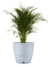 Maceta Amsterdam 40x45 - comprar online