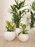 Maceta Florencia Esfera 32x32 - Floridis