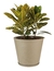 Imagen de Maceta Ginebra Cono 34x35