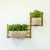 Maceta De Pared Colgante Florencia 21x17 - tienda online