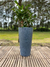 Imagen de Maceta Ginebra Cono 40x80