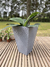 Maceta Zurich Piramidal 32x55 - comprar online